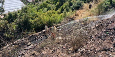 WhatsApp Image 2025-06-27 at 11.10.48 (1)