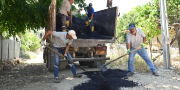 WhatsApp Image 2025-06-27 at 12.06.55 (2)