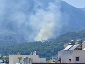 image2 (1)