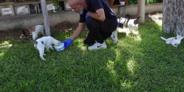 Kepezin-can-dostlari-emin-ellerde_5