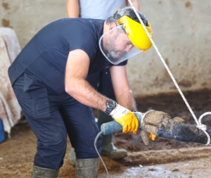 Kırsaldaki besicilere veterinerlik hizmeti (6)