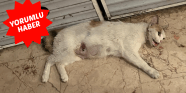 Manşet 2 kopyası_20250712_111425_0000