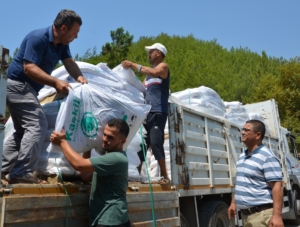 ALANYA KAOLİN DAĞITIMI (4)