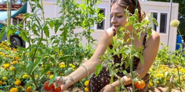 Antalya Büyükşehir Belediyesi’nden kadınlara üretim desteği devam ediyor (4)