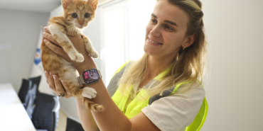 Büyükşehir yavru kediye can oldu (4)