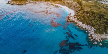 FB_IMG_1755877755604