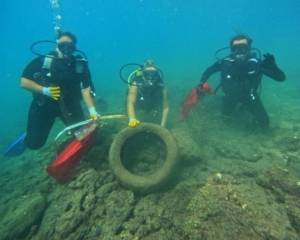 DCIM102GOPROGOPR1005.JPG