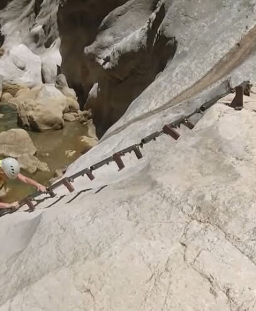 FB_IMG_1757413934647