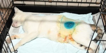 FB_IMG_1759139428682