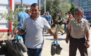GAZİPAŞA FİDAN DAĞITIMI (2)