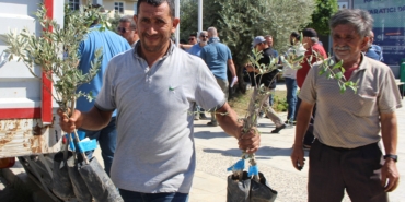 GAZİPAŞA FİDAN DAĞITIMI (2)