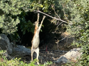 IMG-20250902-WA0039