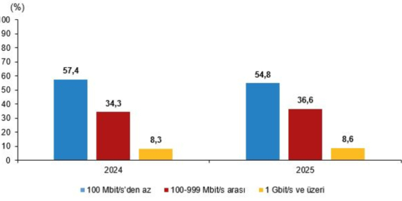 Dijitalleşme: Girişimlerde Bilişim Kullanımı Artıyor