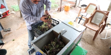 Büyükşehir 23 Üzüm Sıkma Makinesi ile Pekmez Üretimine İş Gücü Desteği Veriyor (5)