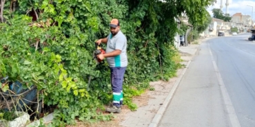 FB_IMG_1759850305004