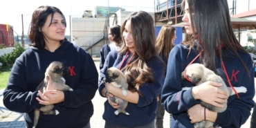 FB_IMG_1760373080931