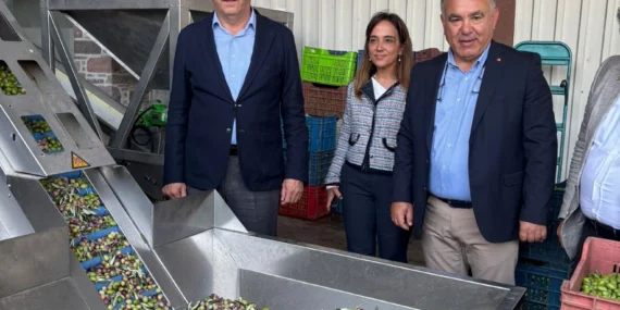 ayvalik-ticaret-odasi-zeytinyagi-ihracatinda-en-buyuk-sorun-markasizlik-1760972317-301_large.webp.webp