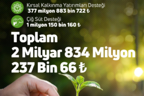 g4cbetewyaanopv-1761320567-182-x750.jpeg