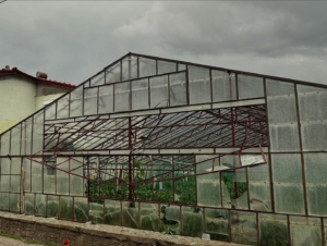 FB_IMG_1762510965845