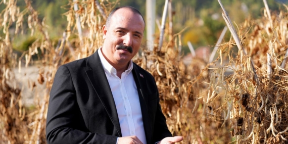 KOTAN İŞÇİLERLE FASULYE HASADI YAPTI (2)