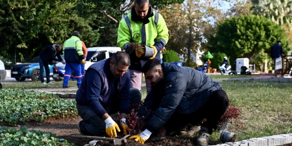 Trafik Parkı mevsimlik çiçeklerle yenilendi