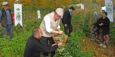 bursa-osmangazi-de-uzumsuz-meyvelerde-organik-seferberlik-ilk-hasat-baskan-aydin-dan-1762593180-927.webp