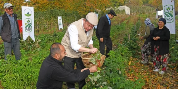 bursa-osmangazi-de-uzumsuz-meyvelerde-organik-seferberlik-ilk-hasat-baskan-aydin-dan-1762593180-927.webp
