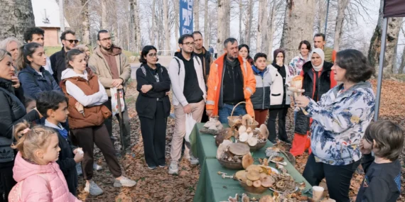 Kuzuyayla’da Mantar Avı: Doğanın Gizemini Keşfet!