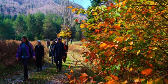 Sonbahar Yürüyüşleri: Sakarya’da Doğa Şöleni!