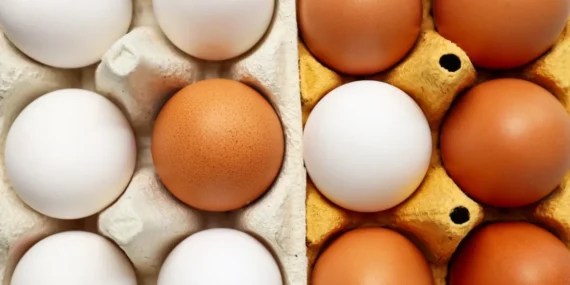 Yumurta Krizi: Üretim 11 Aydır Düşüşte!